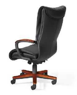 {short description of image}