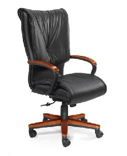 {short description of image}