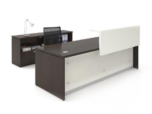 Reception desk with translucent modesty panel and half length transaction counter and matching credenza