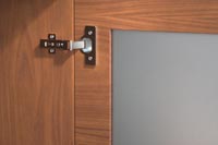 frosted glass door with hinge detail