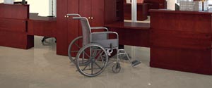 A 28" high bridge provides a comfortable height for seated visitors and for wheelchair accommodations