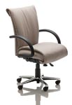 Fortune series business chairs